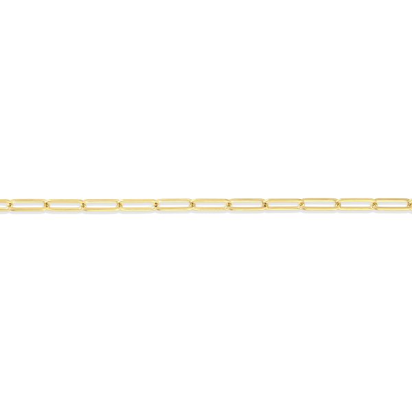 14K Yellow Gold 2.5mm Paperclip Chain <br />232-060