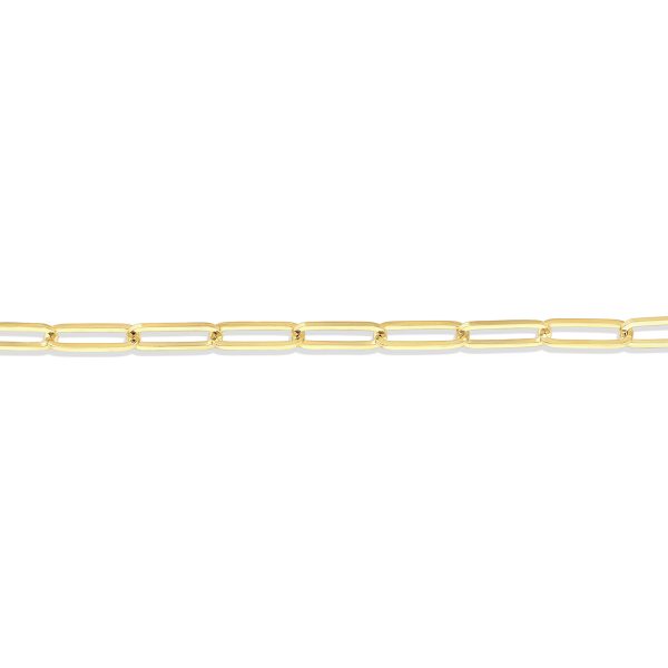 14K Yellow Gold 3.6mm Paperclip Chain <br />232-085