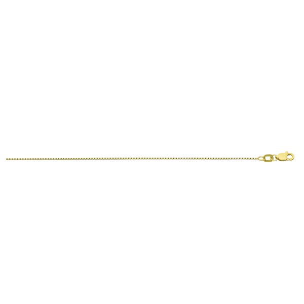 10K Yellow Gold 1.0mm Box Chain <br />257-068