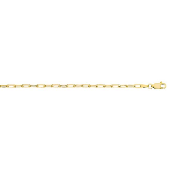 10K Yellow Gold 3.0mm Semi-Solid Paperclip Chain <br />291-080