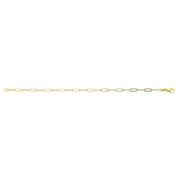 10K Yellow Gold 2.5mm Paperclip Chain<br />231-060