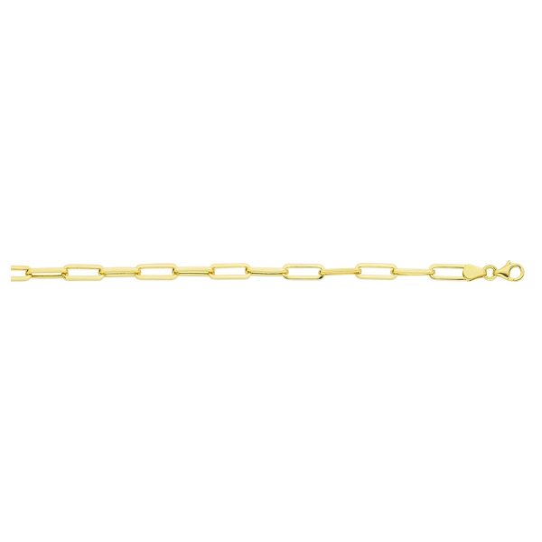 10K Yellow Gold 4.0mm Paperclip Chain<br />231-095