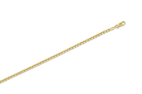 10K Yellow Gold 2.5mm Semi-Solid Round Box Chain<br />253-250